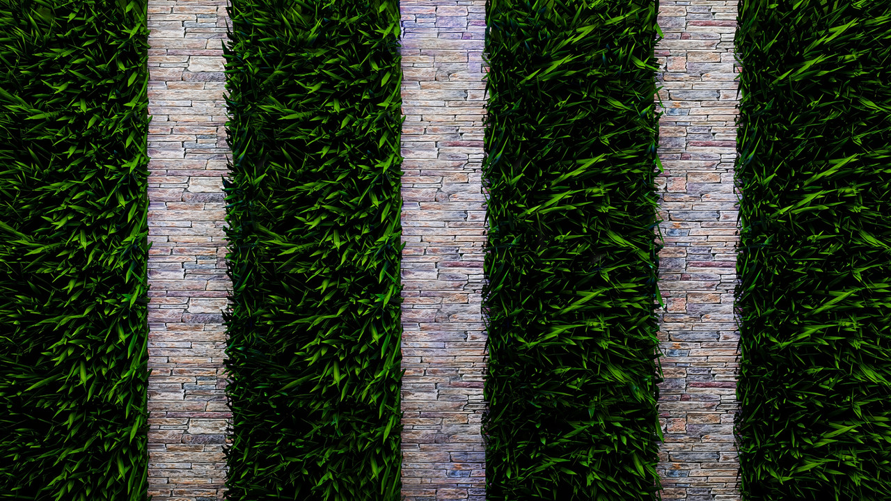 The Elle Duncan Show backdrop