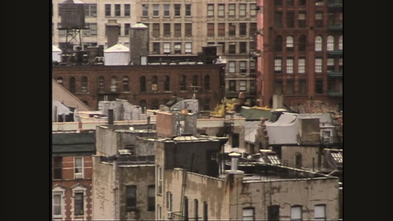 Pleasures of Urban Decay backdrop
