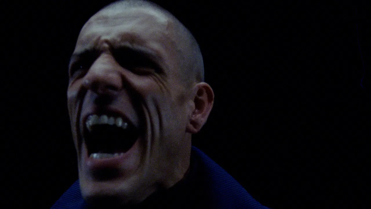 They Send Word backdrop