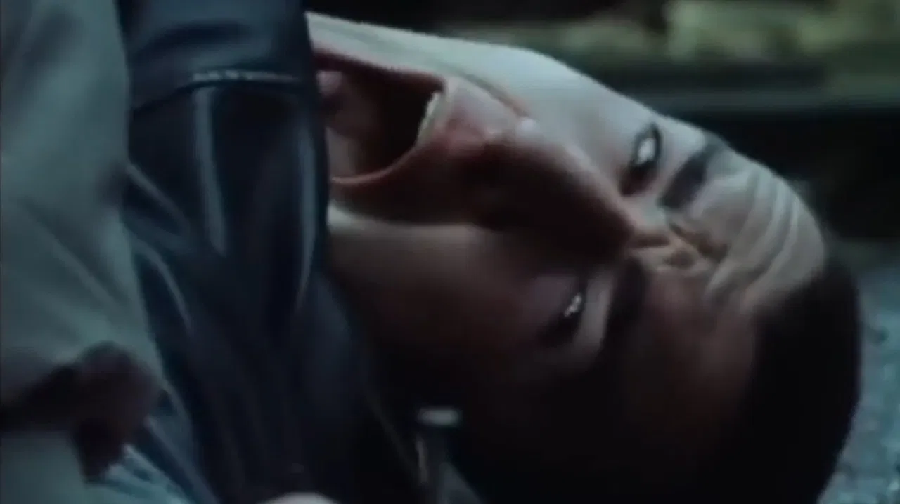 Vicious Circle backdrop