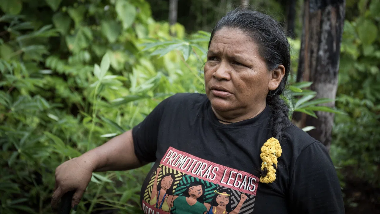 Guardians of the Rainforest backdrop