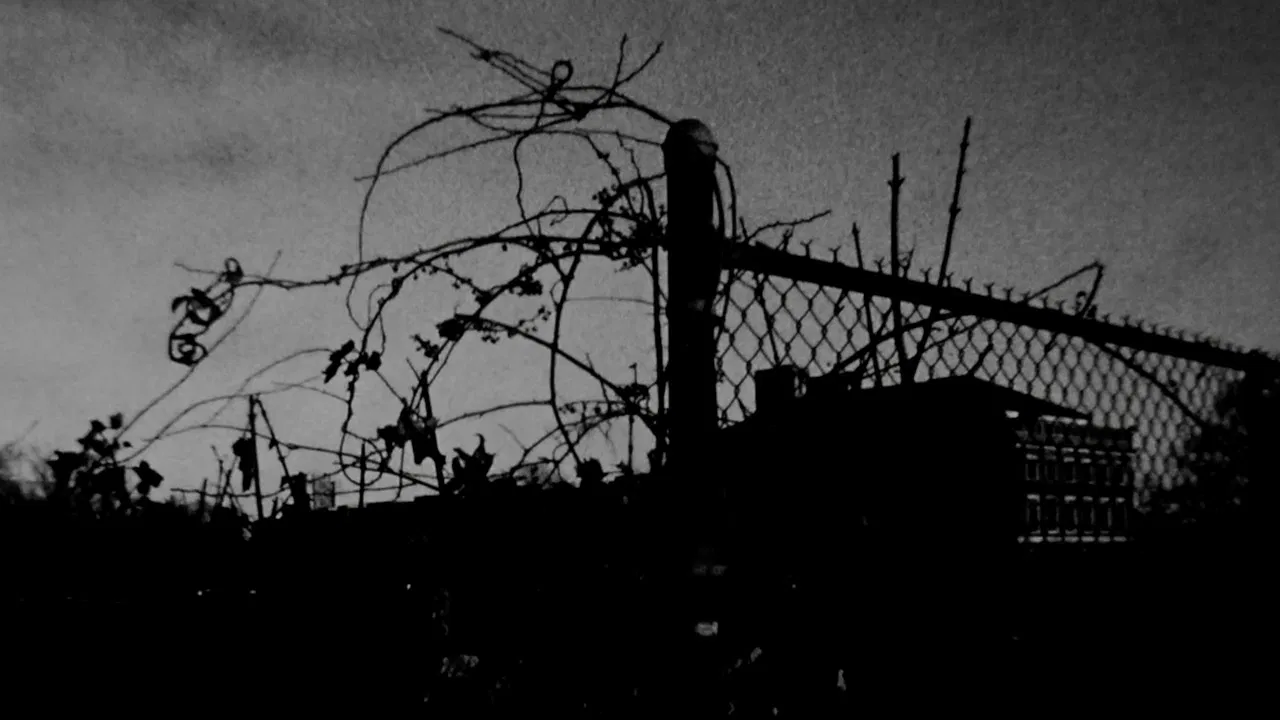 Mission Hill backdrop