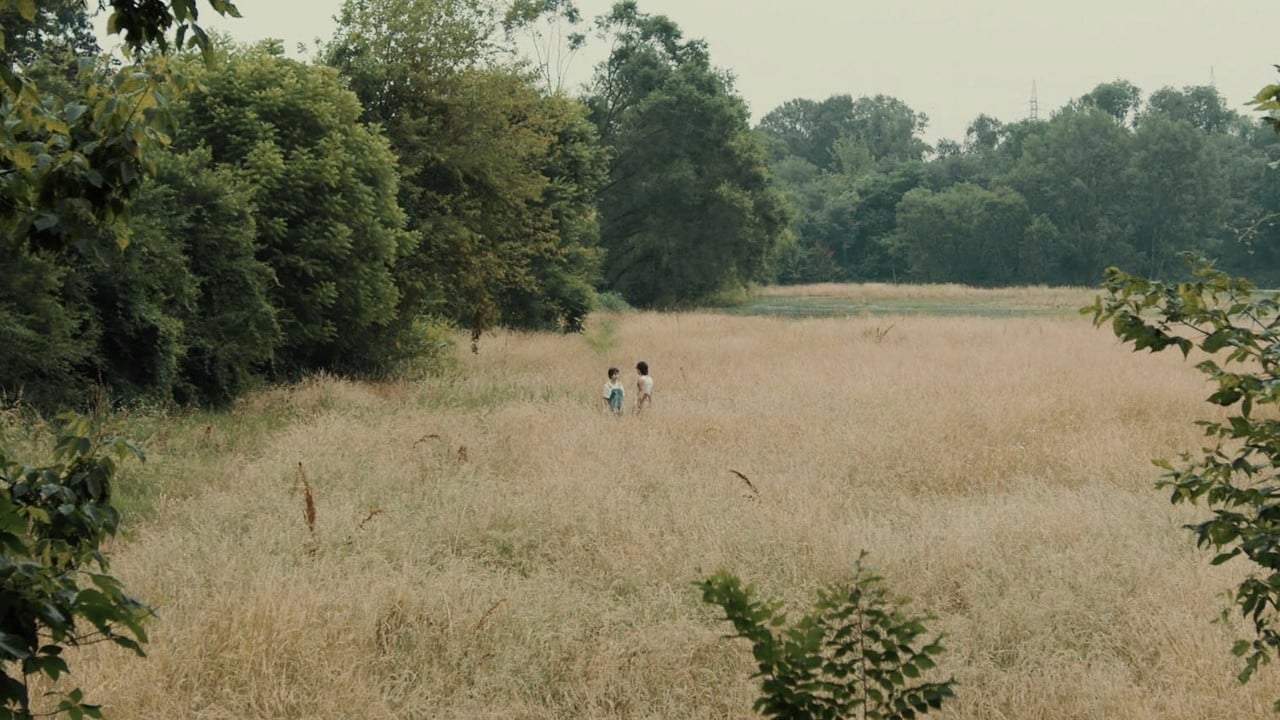 oh peace... backdrop