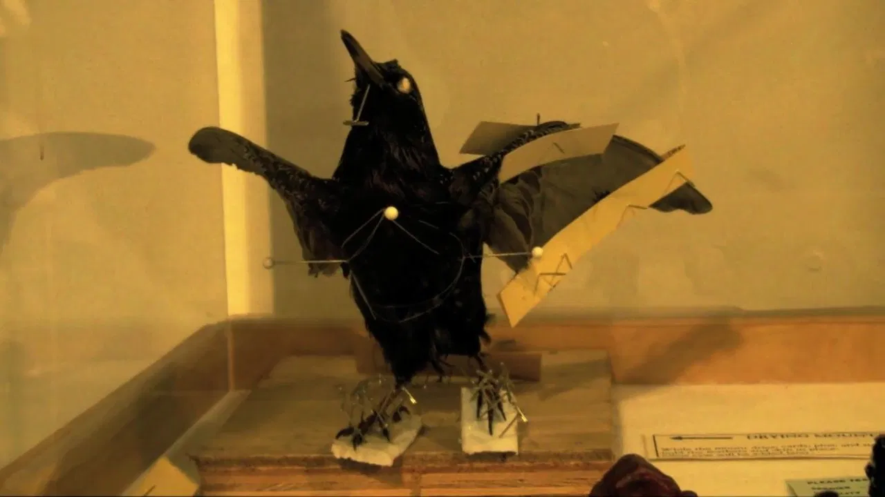 The Last Flesh & Blood Show backdrop