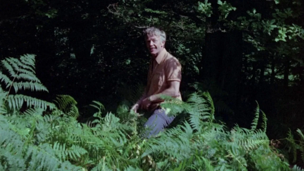 The Insomniac backdrop