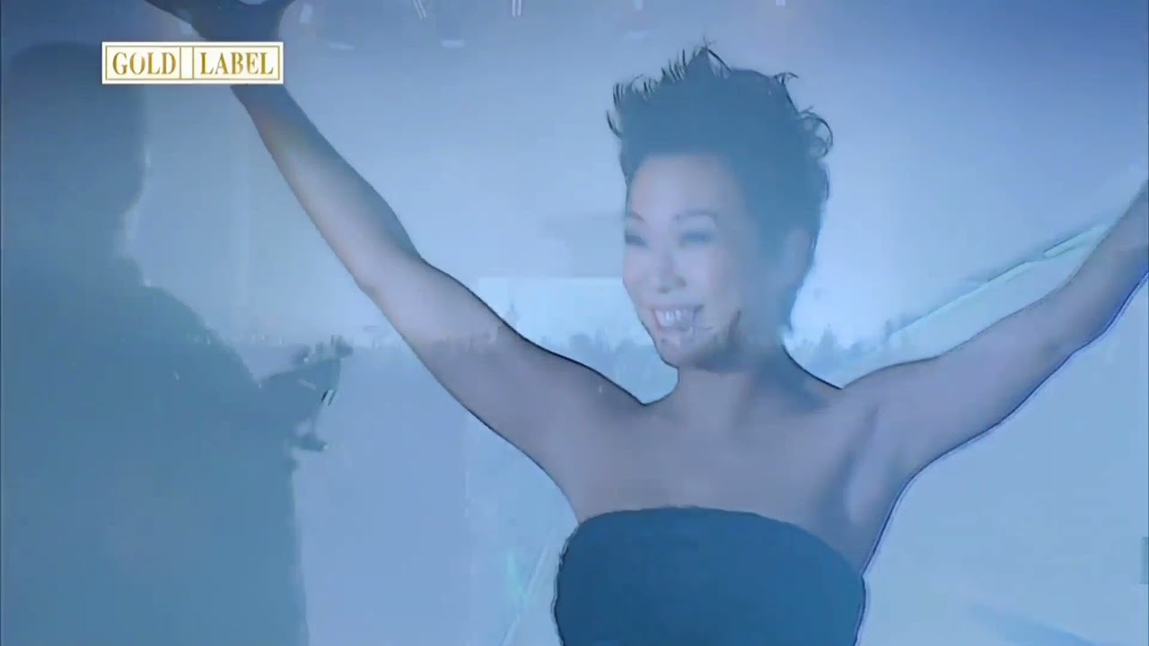 林忆莲Live07演唱会 backdrop