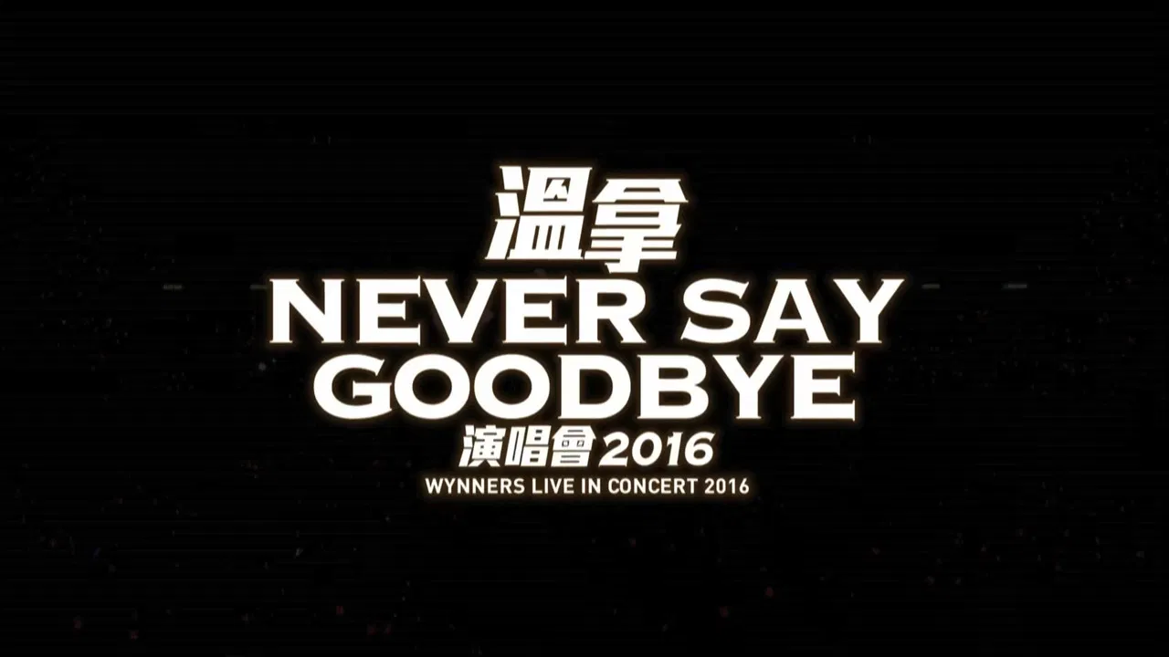 Never Say Goodbye - The Wynners Live In Concert 2016 backdrop