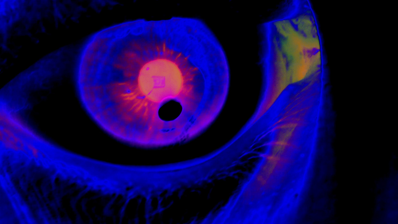 Denomination: Dread backdrop