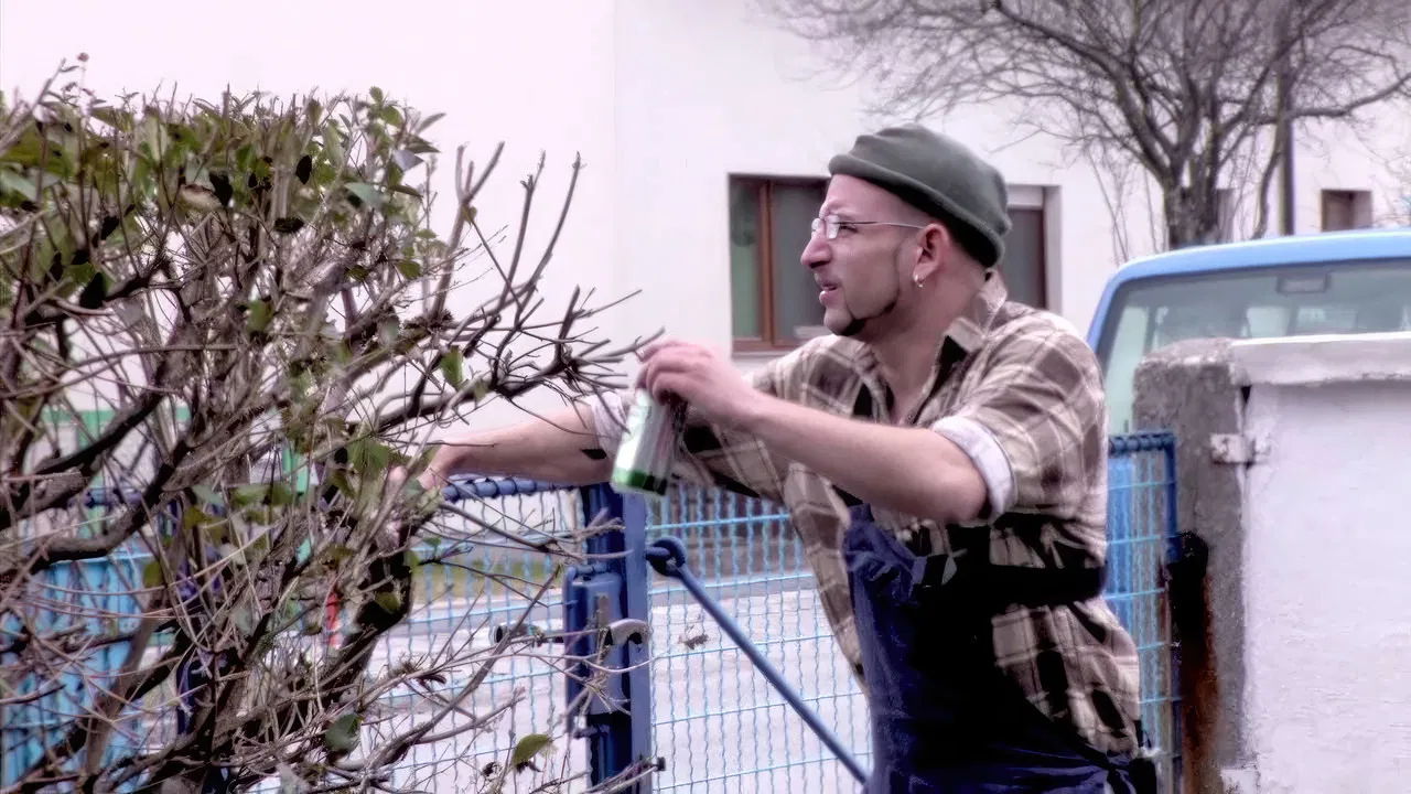 Horvathslos backdrop