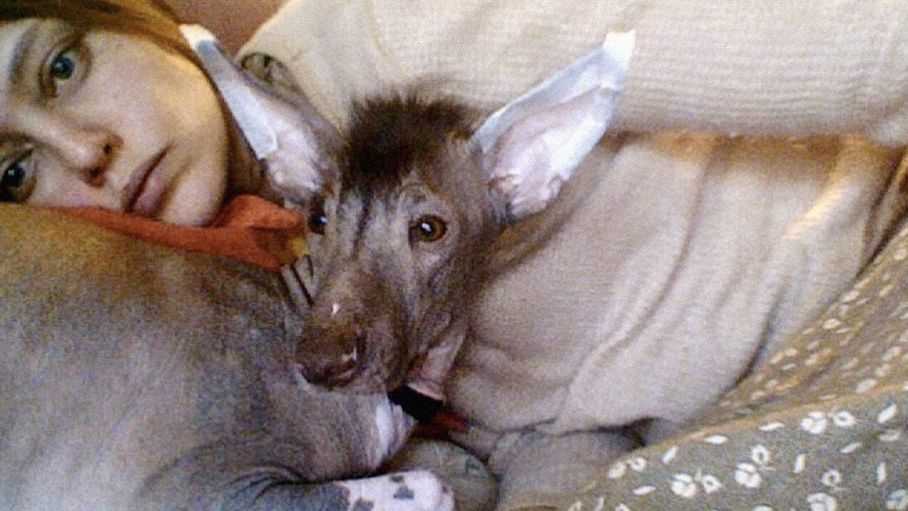 I Am Katya Golubeva backdrop