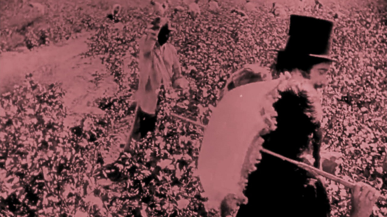 Birth of a Nation backdrop