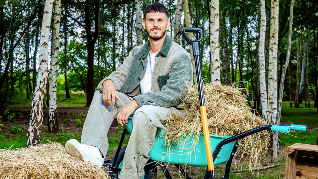 Der Promihof backdrop