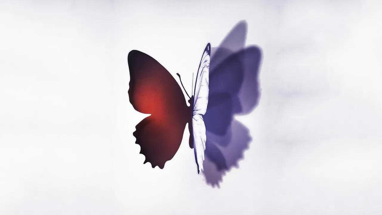 Complete Unknown backdrop