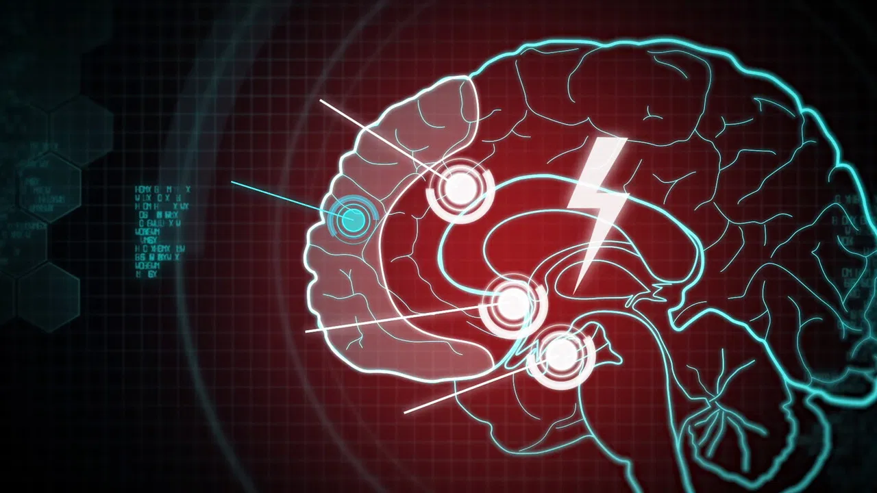 Poker Brain: Inside the Minds of the World's Best Liars backdrop