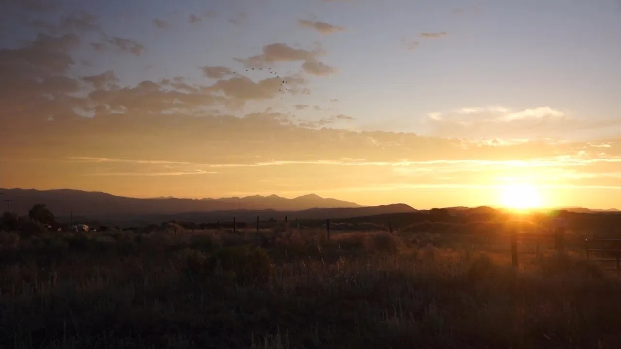 Coming to Terms backdrop