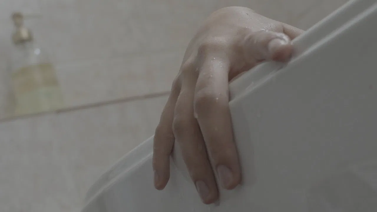 Feed The Birds or Release Me if You Can't backdrop