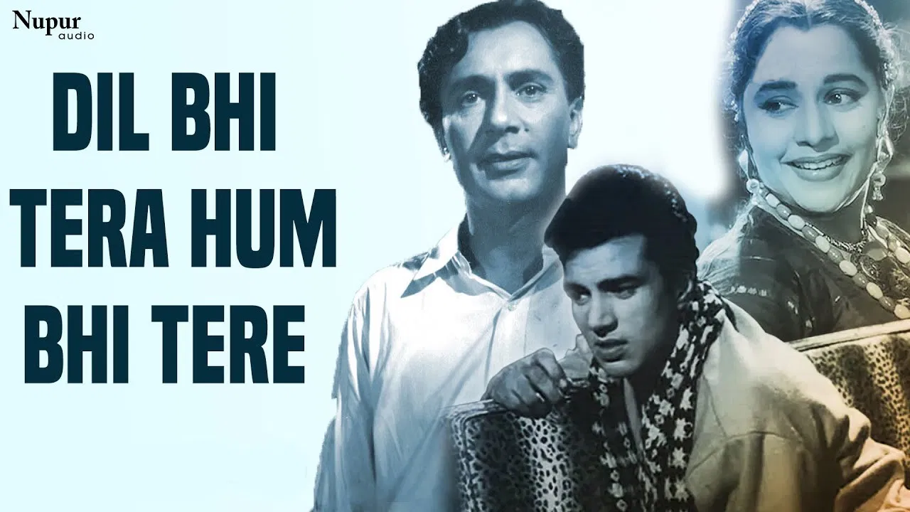 Dil Bhi Tera Hum Bhi Tere backdrop