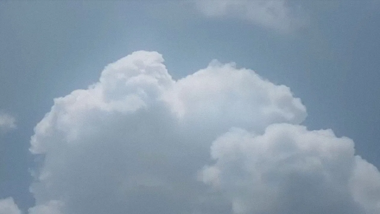 Sheltering Skies backdrop