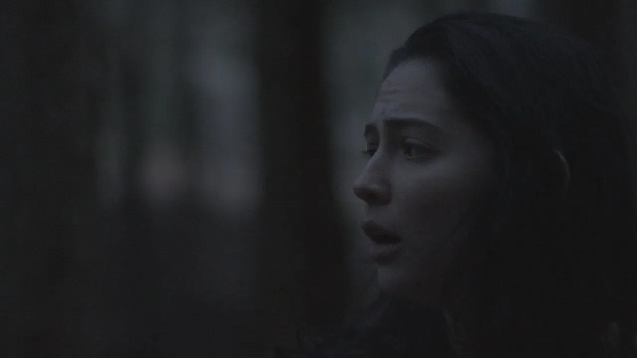 The Clearing backdrop