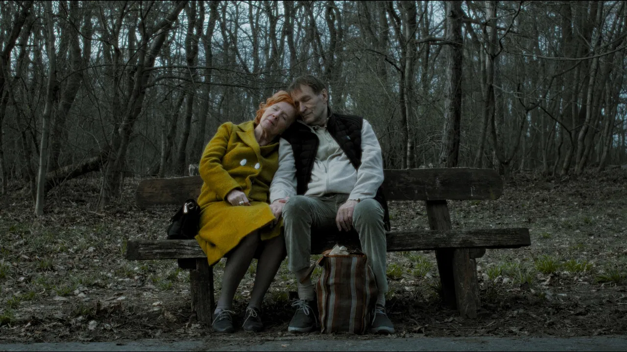 On Paths of Dawn backdrop