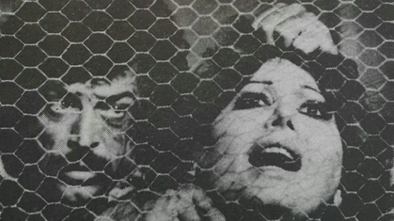 The Red-Haired backdrop