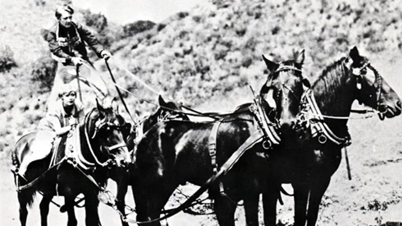 The Arizona Whirlwind backdrop