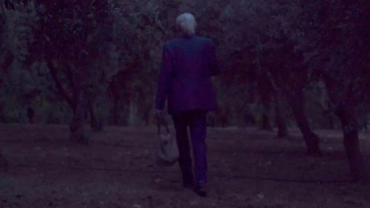 Bloom of Old Trees backdrop