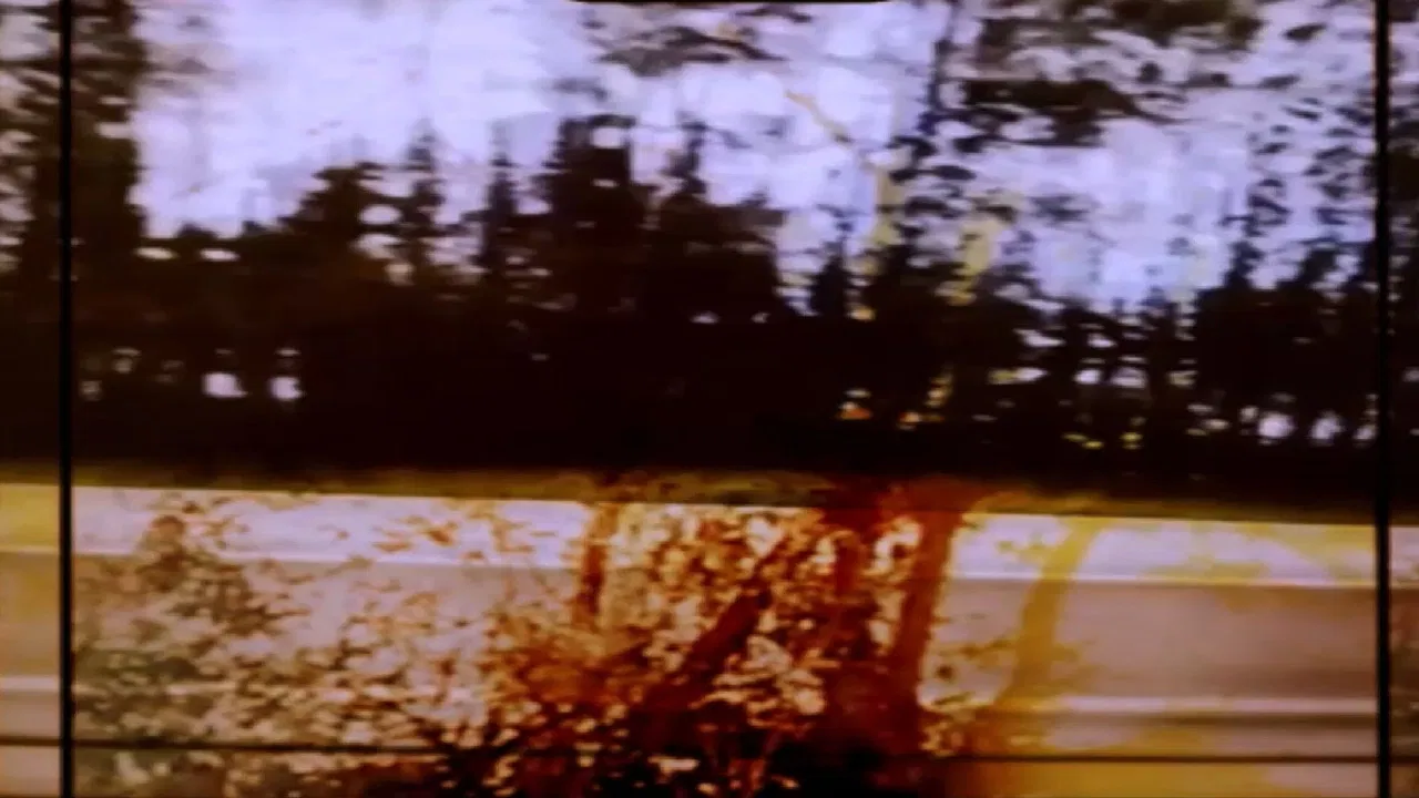 Grasping The Stance Of Witness backdrop