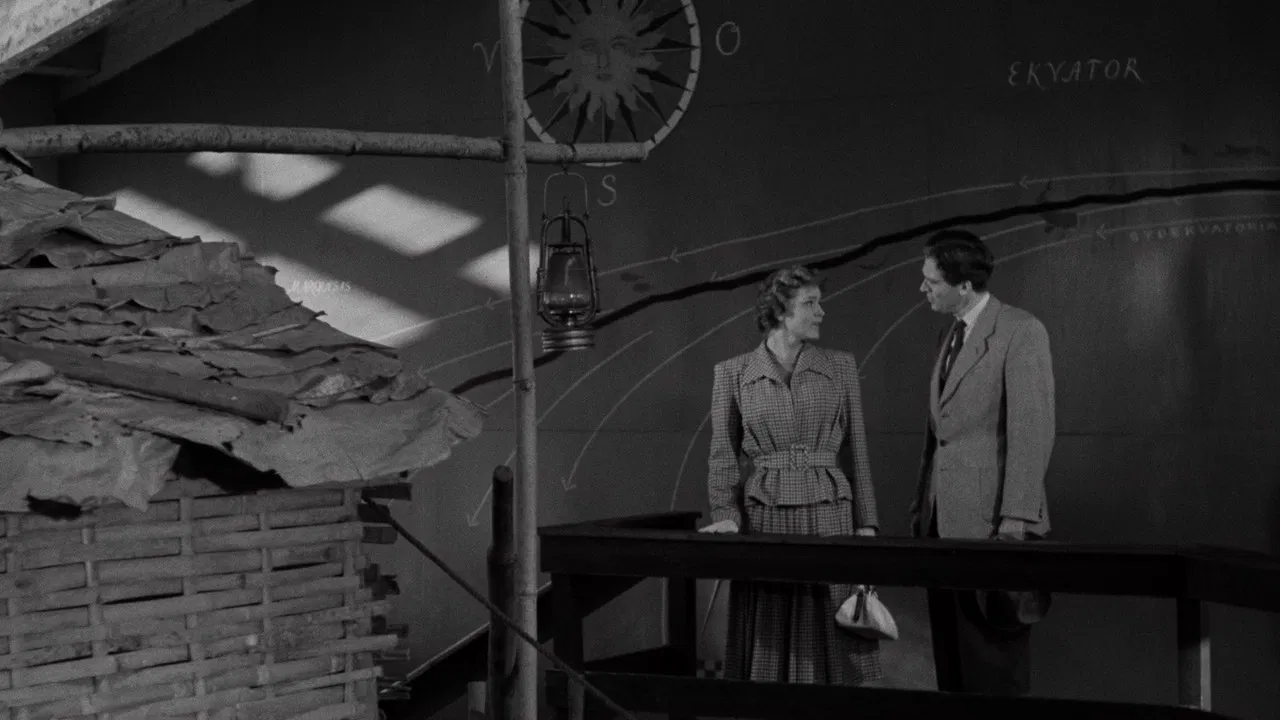 The Disappearance of a Young Wife backdrop