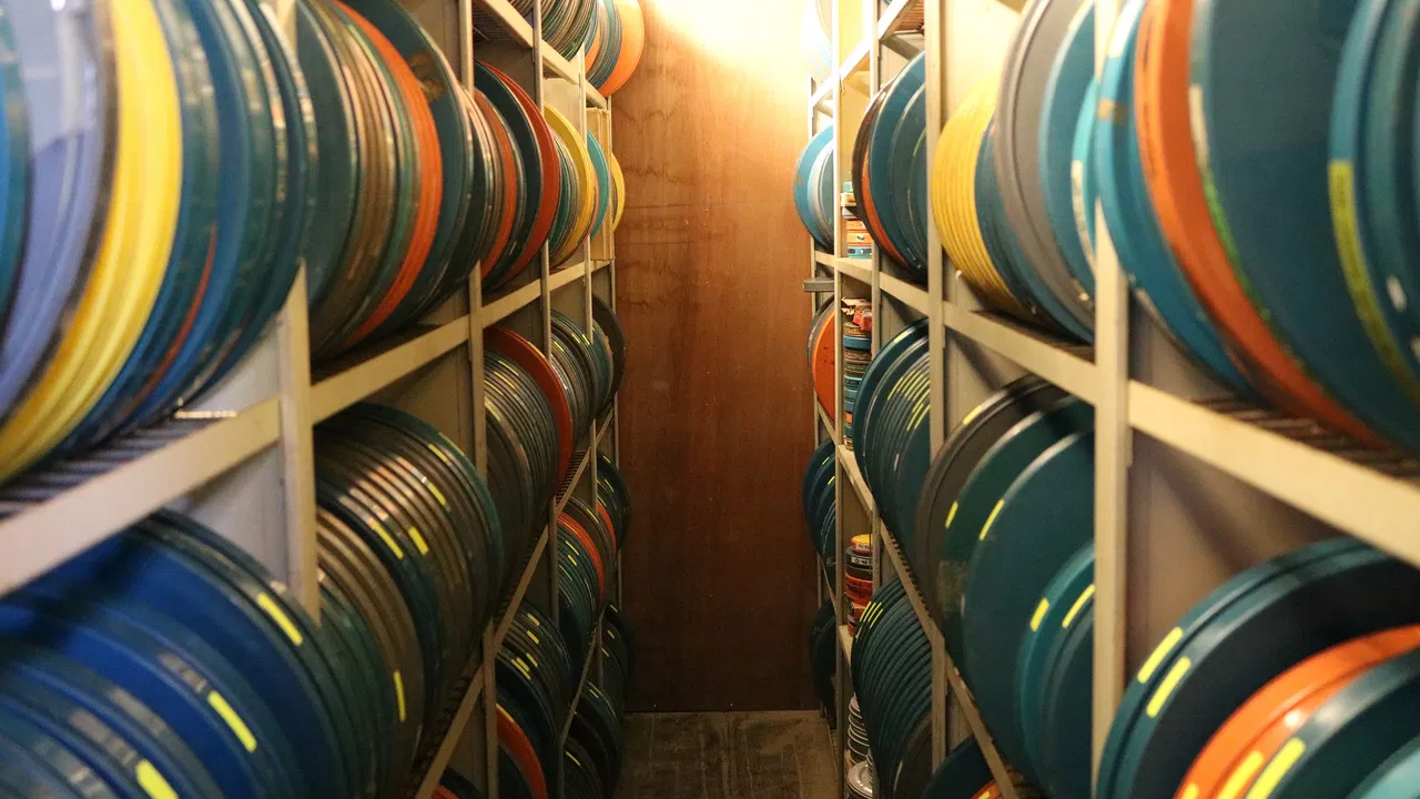 Archive of Life backdrop