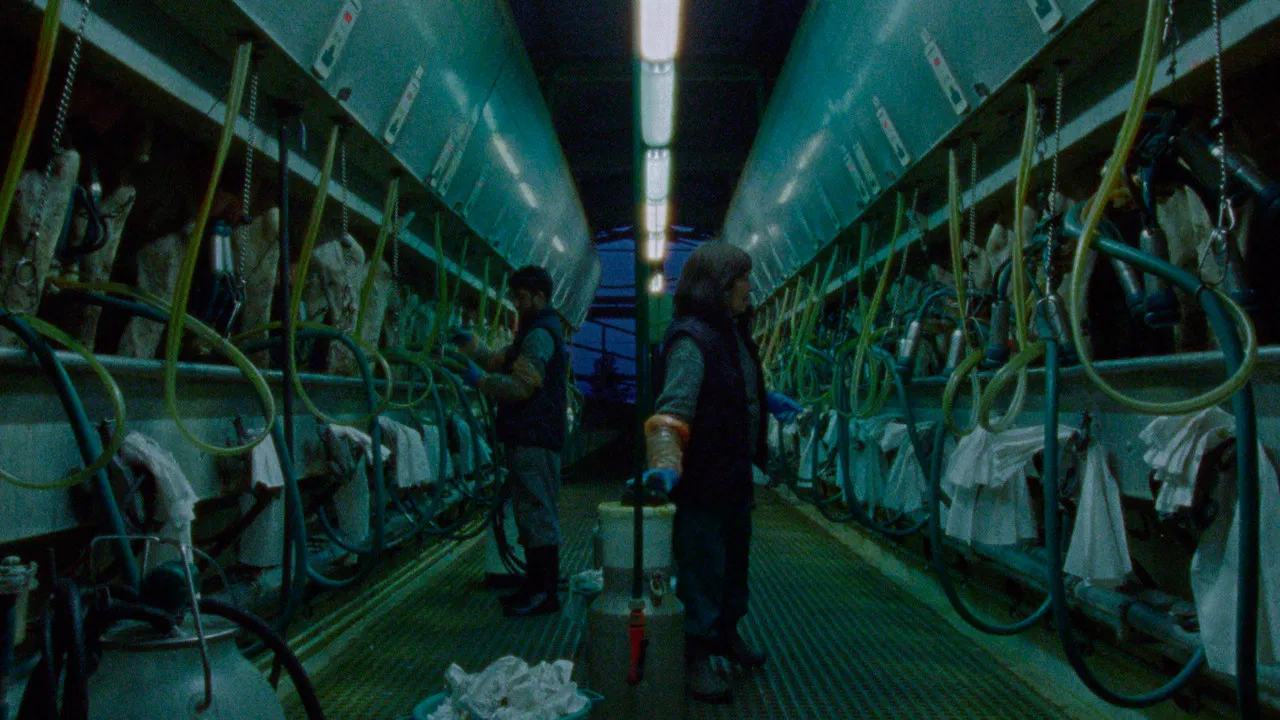 Mater inerta backdrop