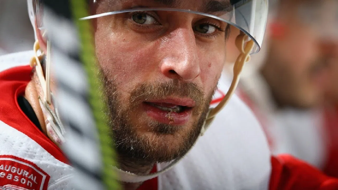 De danske NHL-stjerner backdrop