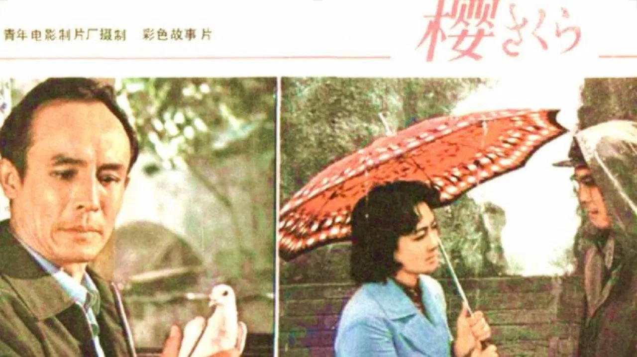 Cherry Blossom backdrop