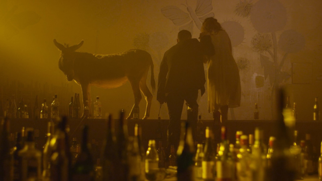 I Shall Return as a Flaming Rose backdrop