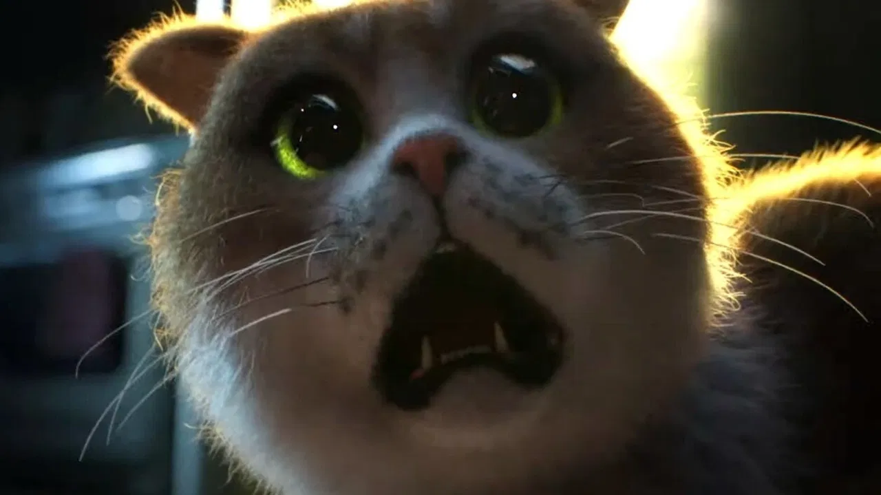 Scaredy Cat backdrop