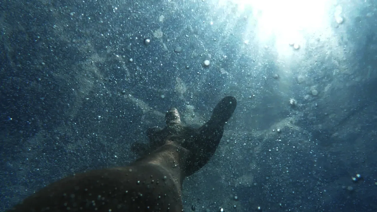 Fatal Watch backdrop