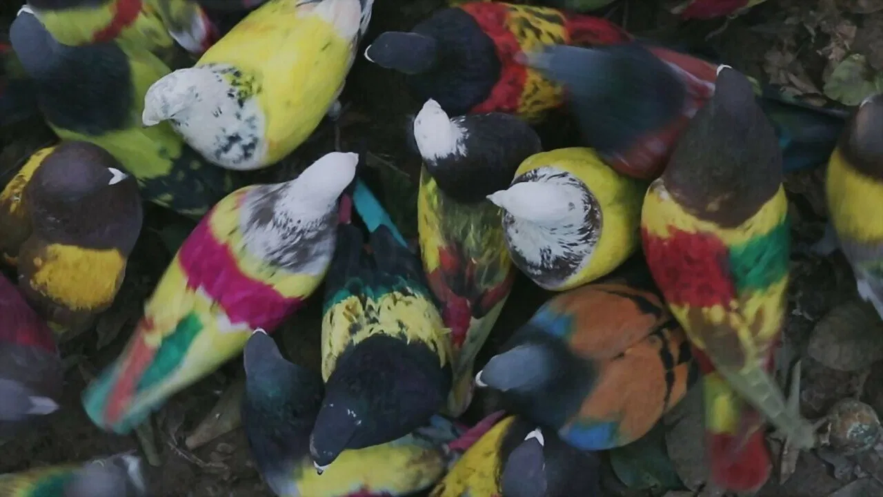 Those Who Desire backdrop