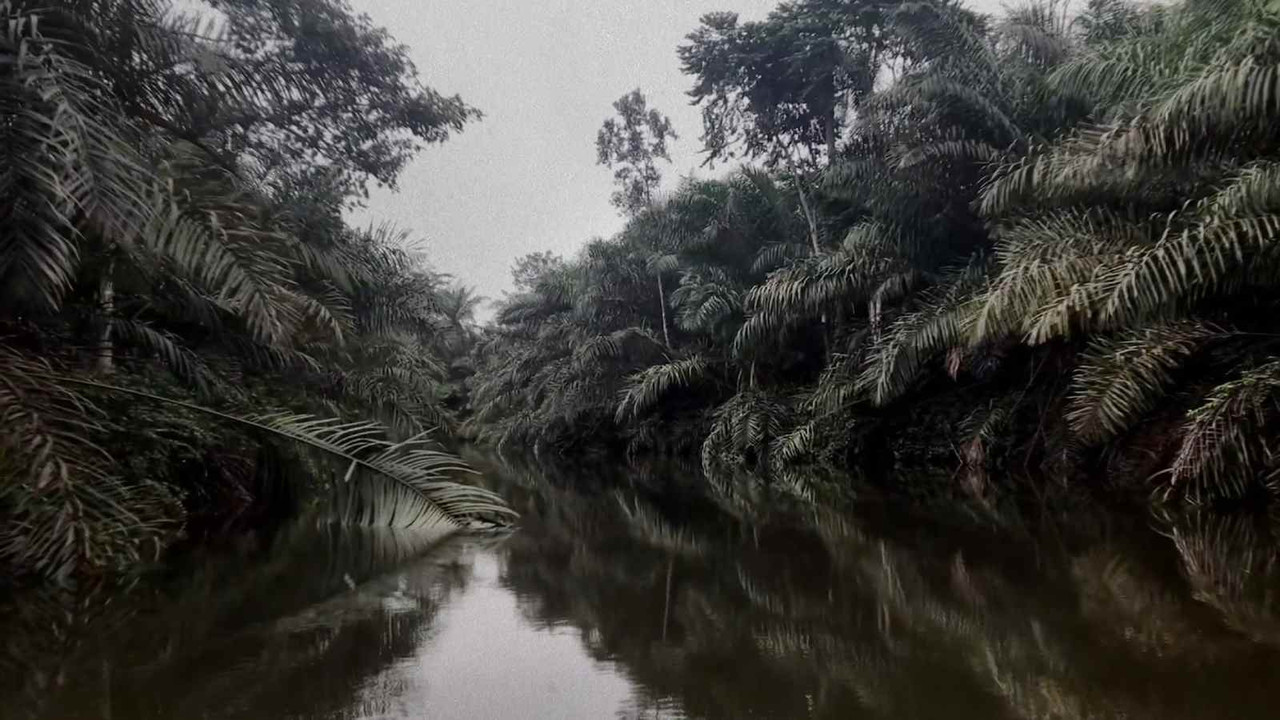 No River Protects me from Myself backdrop