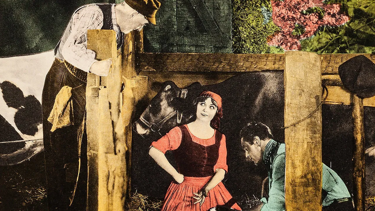 Barbed Wire backdrop