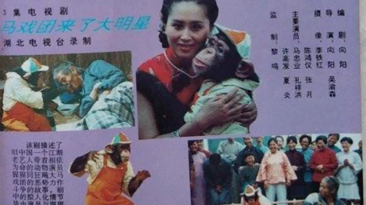 马戏团来了大明星 backdrop