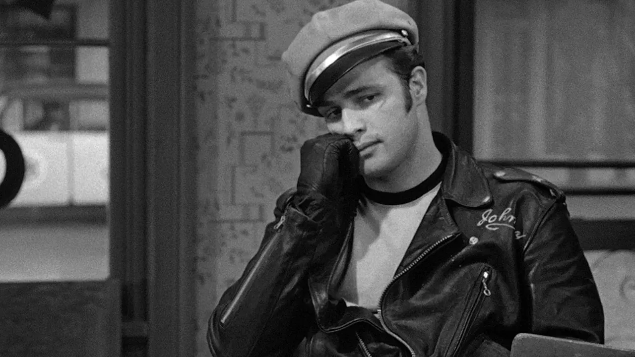 Heavy Petting backdrop