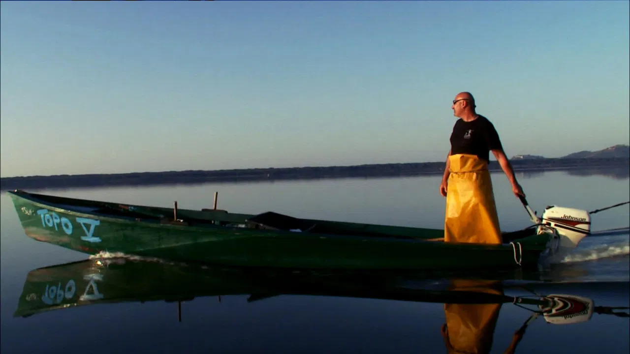 I cavalieri della laguna backdrop