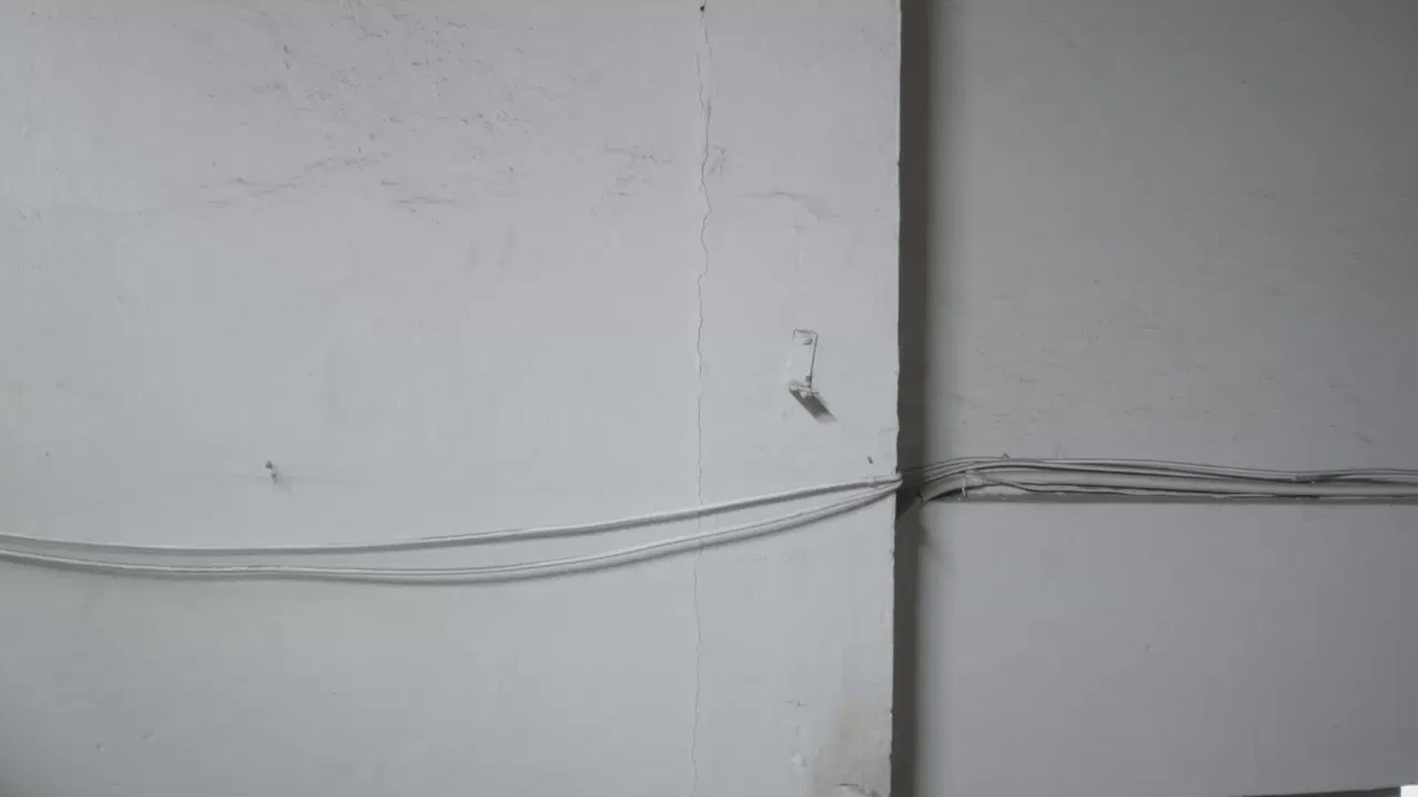 ela viu aranhas backdrop