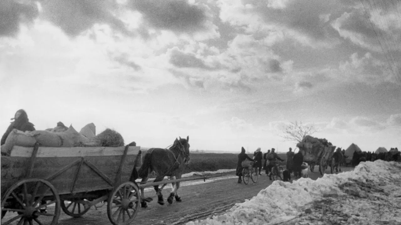 Les déracinés - L'Europe en 45 backdrop