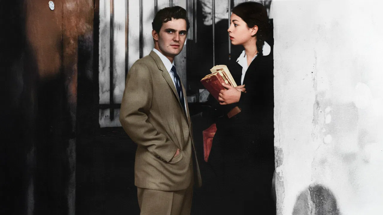 The Last Birds backdrop