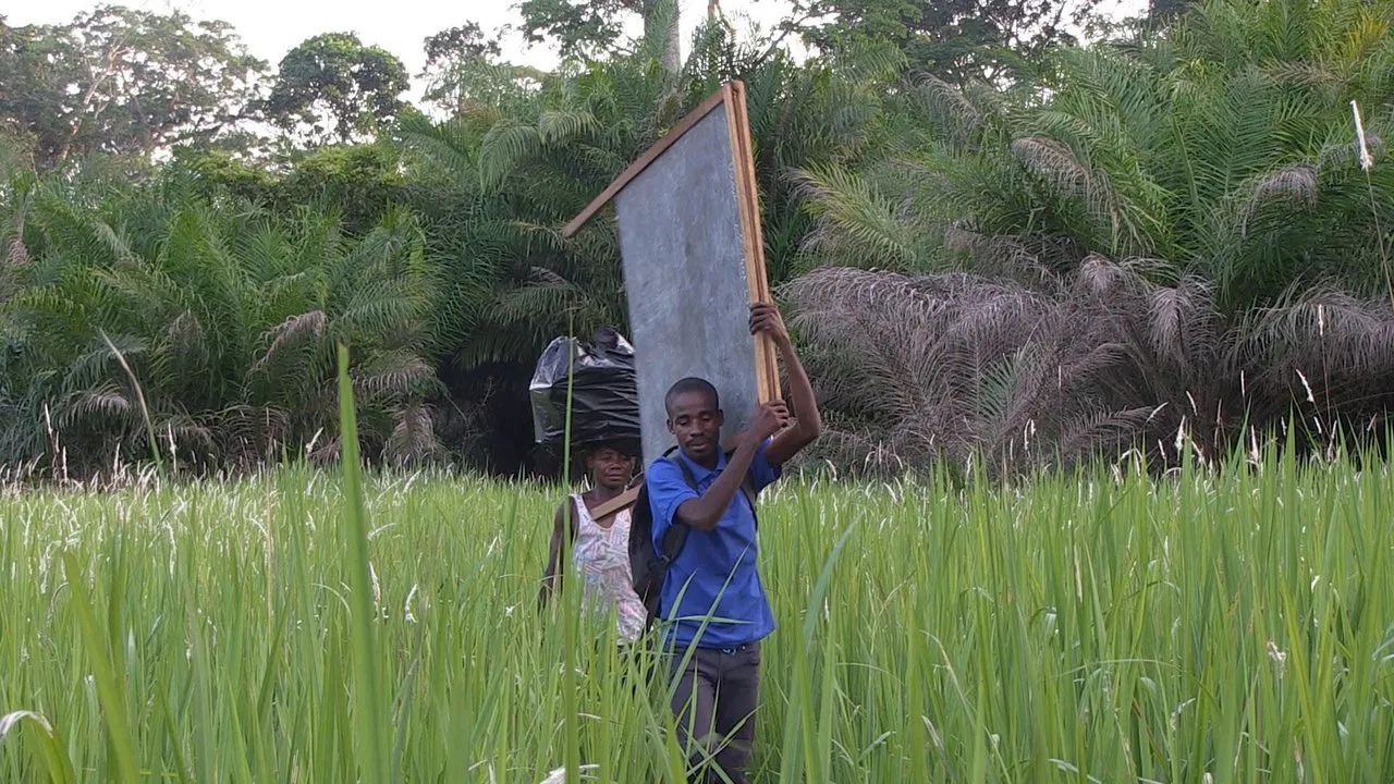 Caterpillars backdrop