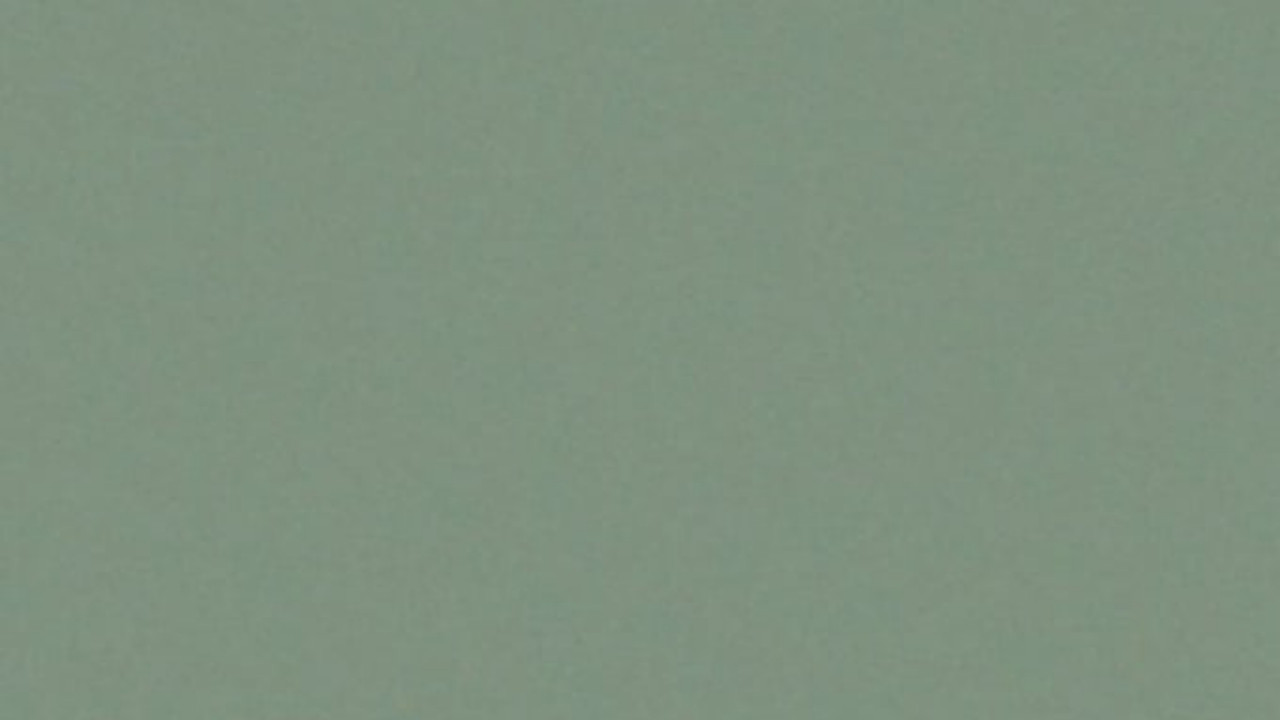 Gina Telaroli backdrop