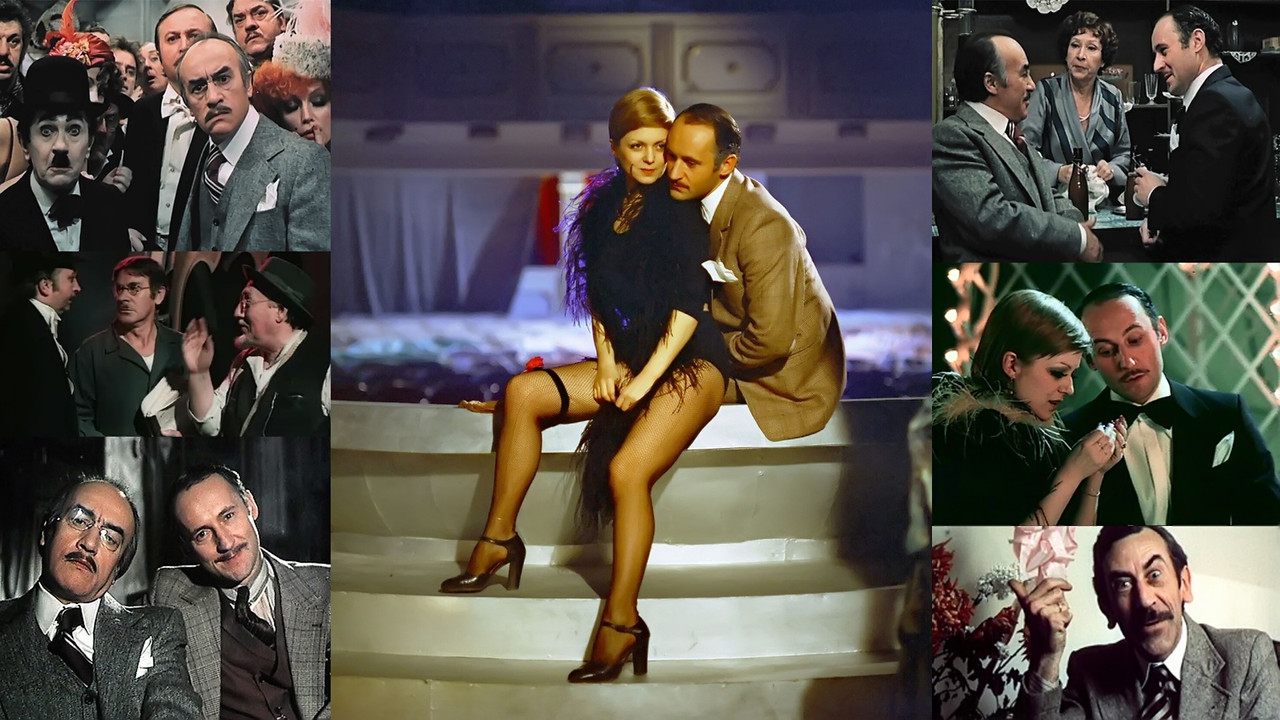 Hello, Fred the Beard backdrop