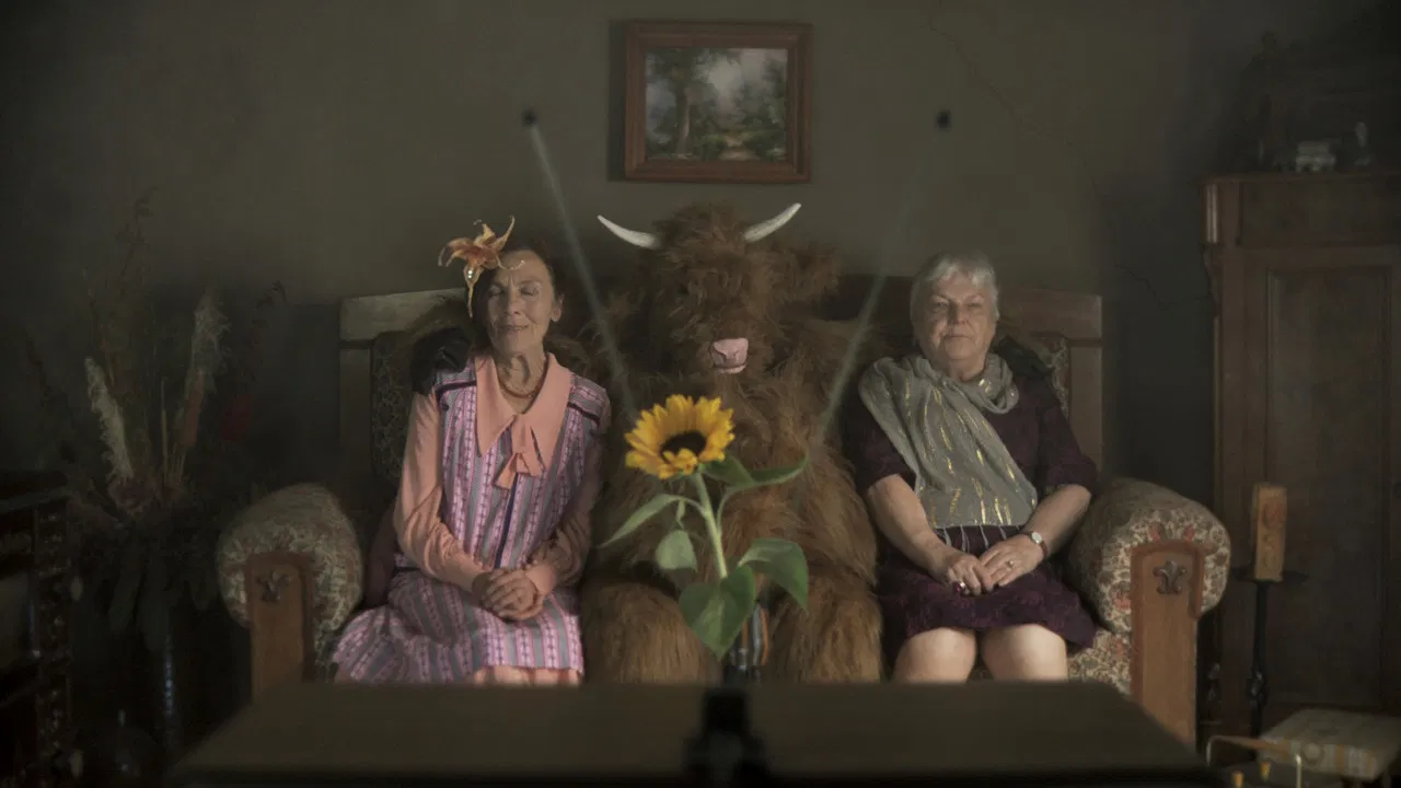 Ottilias Ochse backdrop