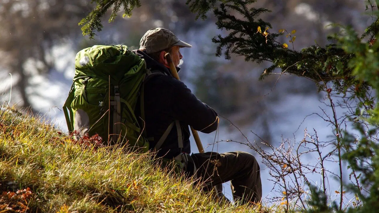 Living With Wolves backdrop